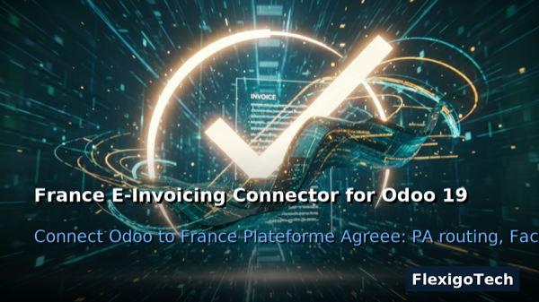 France e-invoicing handled inside Odoo 19 with Factur-X and an approved PDP platform