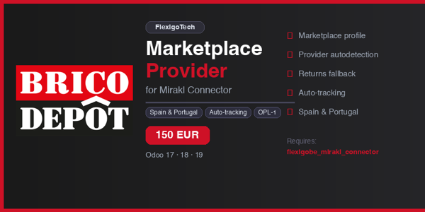 Brico Depot marketplace provider add-on running inside Odoo