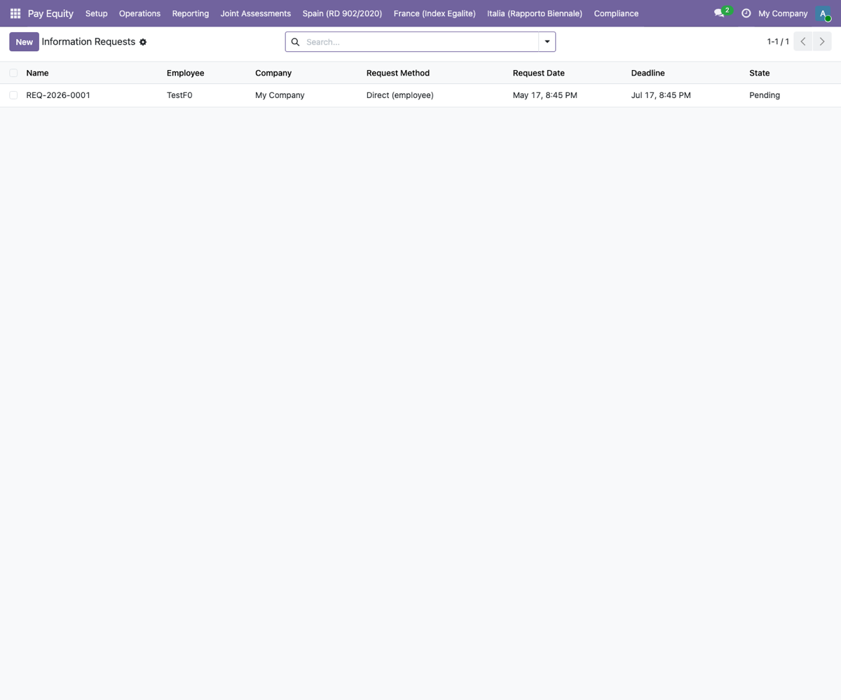 FlexigoTech Pay Equity — Deutschland — Information Requests