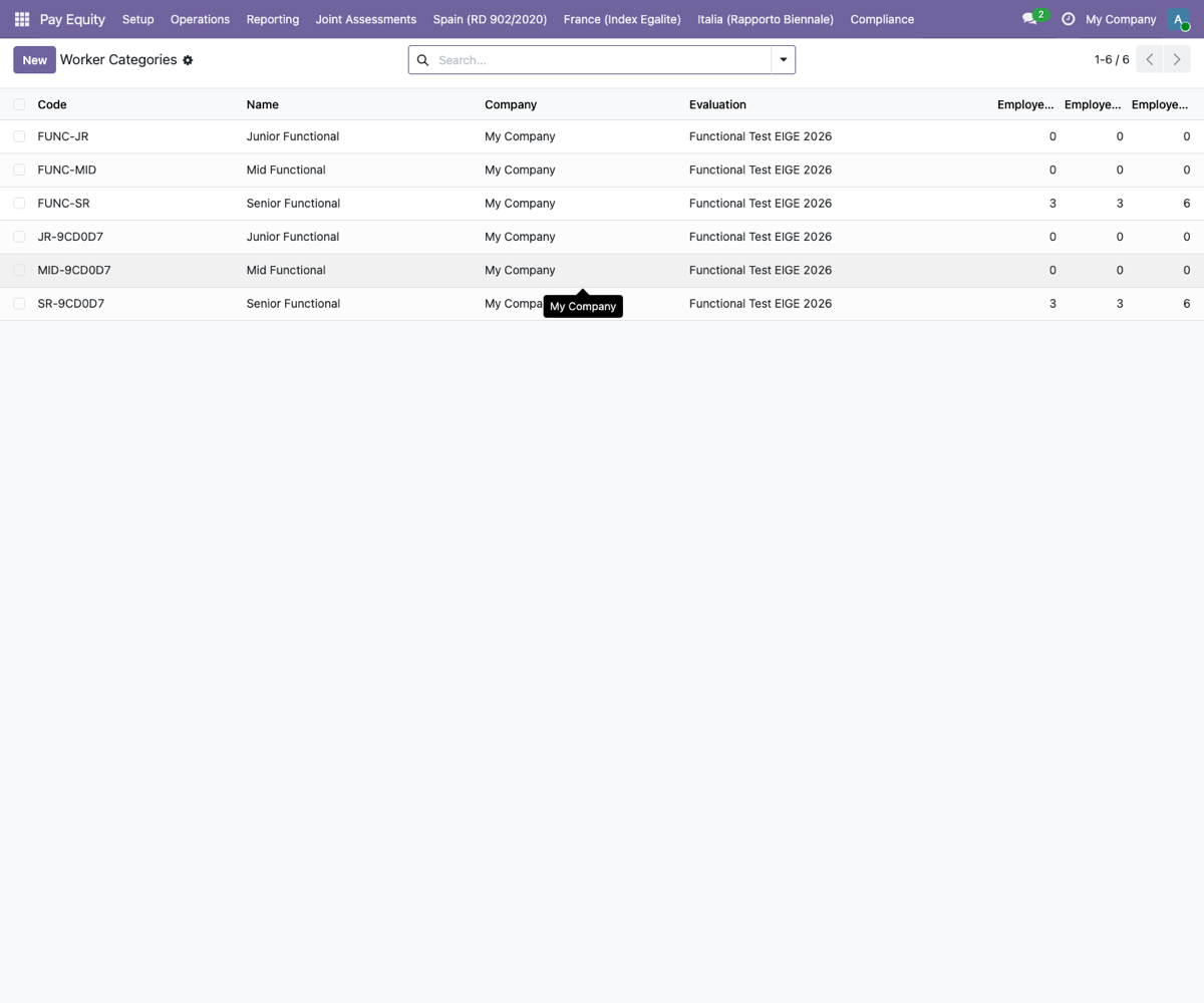 FlexigoTech Pay Equity — Deutschland — Worker Categories